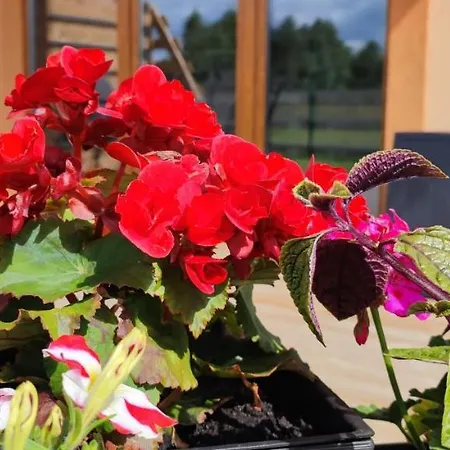 Ferienhaus Zakatek Ciszy. Sluchowo