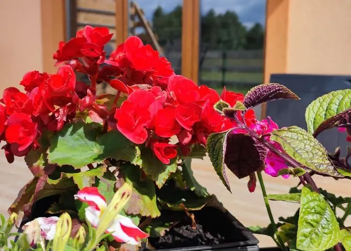 Prázdninový dům Zakatek Ciszy. Sluchowo